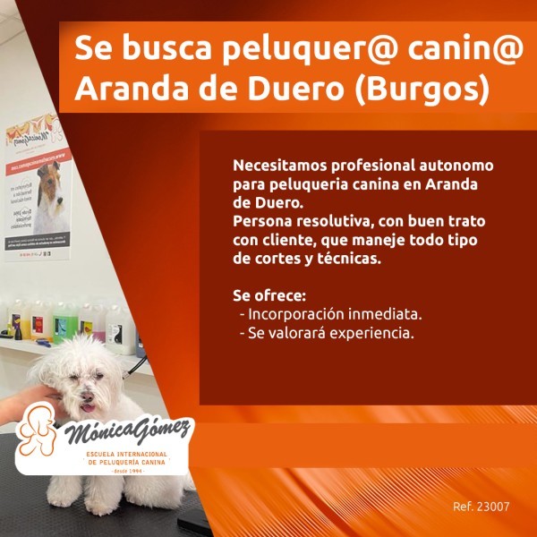 Se busca Peluquer@ Canin@ en Aranda de Duero (Burgos)