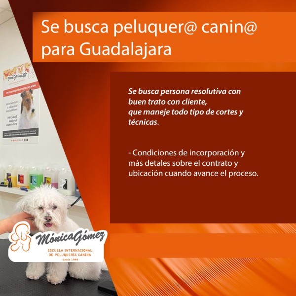 Se busca Peluquer@ Canin@ en Guadalajara