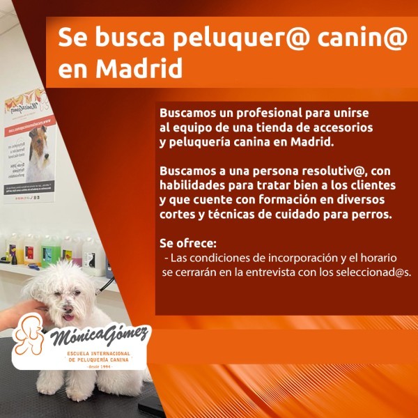 Se busca Peluquer@ Canin@ en Madrid