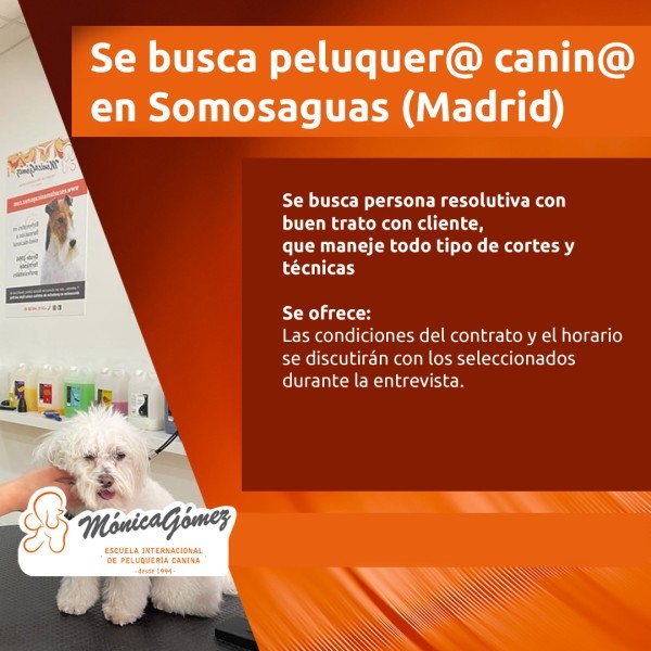 Se busca Peluquer@ Canin@ en Somosaguas Madrid