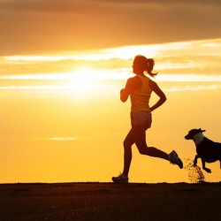 Por qué compartir deporte con tu mascota