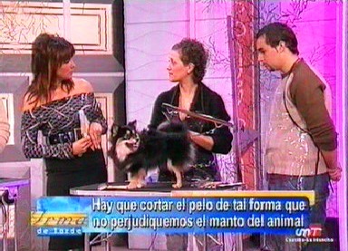 Imagen