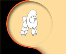 escuela de peluquer�a canina, M�nica G�mez