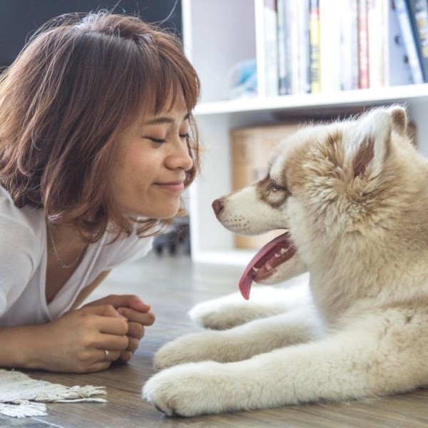 Matchcota, la web para adoptar a tu mascota ideal