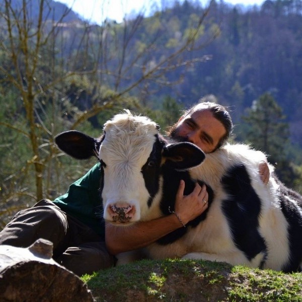 ¿Qué es un santuario de animales?