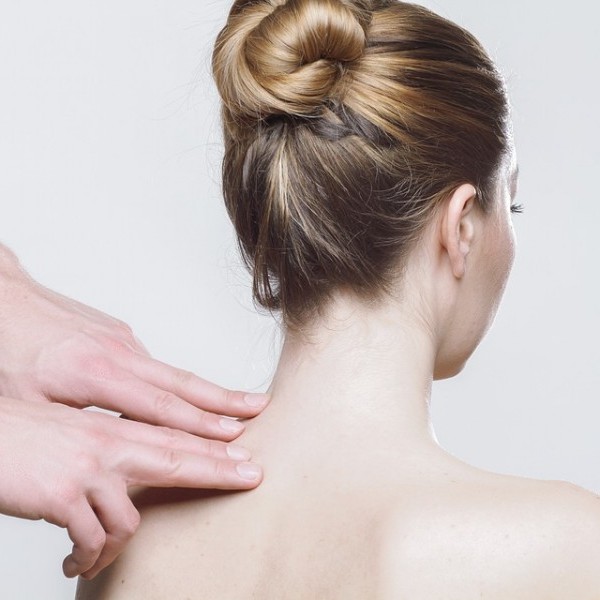 Cómo proteger nuestra espalda durante una sesión de peluquería canina