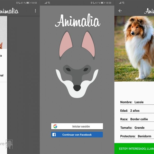Animalia, la app para adoptar mascotas