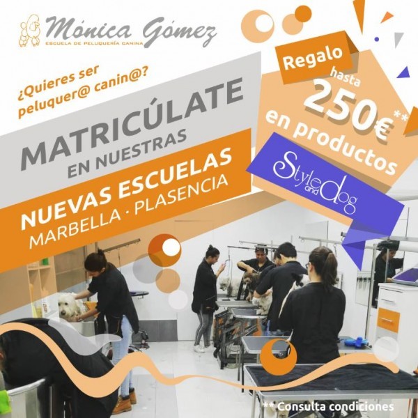 Último mes para disfrutar de la oferta de verano de la Escuela Mónica Gómez