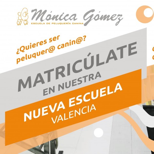 Nueva Escuela de Mónica Gómez en Benigánim (Valencia)