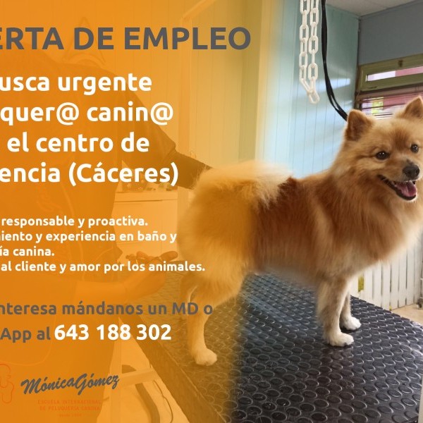 Buscamos urgente peluquero/a canino/a para el centro de Plasencia (Cáceres)