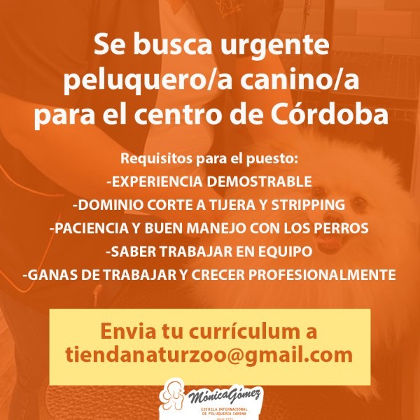 La escuela de Córdoba amplía equipo, ¡te estamos buscando!