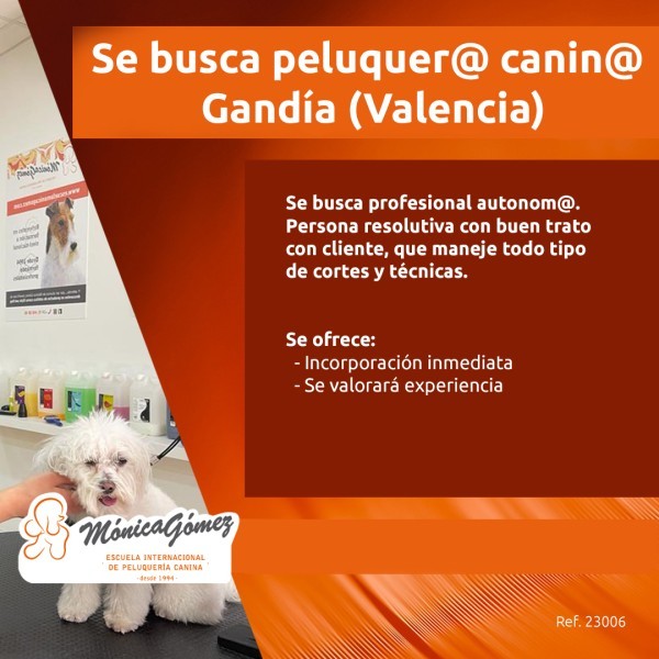 Se busca Peluquer@ Canin@ en Gandía (Valencia)