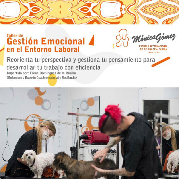 Descubre cómo mejorar tu bienestar emocional con las sesiones de coaching de la Escuela Mónica Gómez