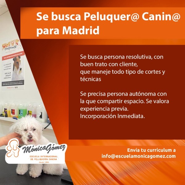 Se buscan Peluquer@s Canin@s en Madrid