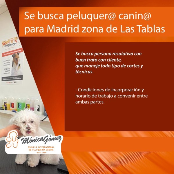 Se busca Peluquer@ Canin@ en Madrid zona de Las Tablas