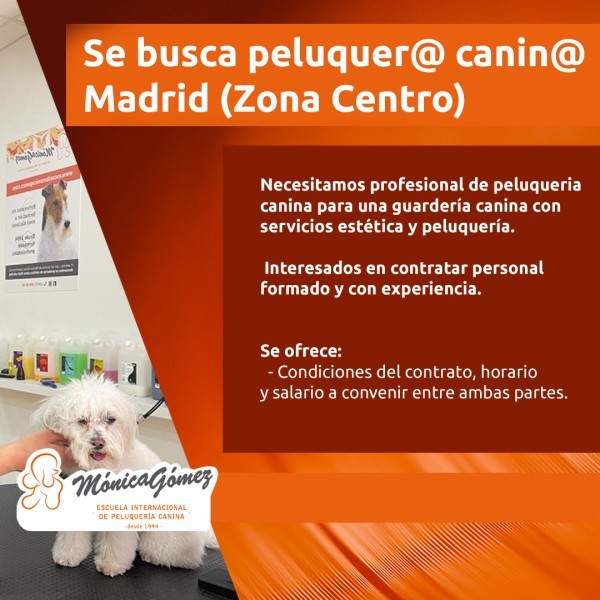Se busca Peluquer@ Canin@ en Madrid zona Centro
