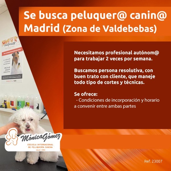 Se busca Peluquer@ Canin@ en Madrid Zona de Valdebebas