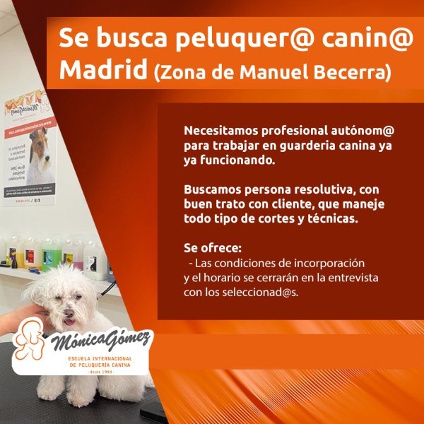 Se busca Peluquer@ Canin@ en Madrid Zona de Manuel Becerra