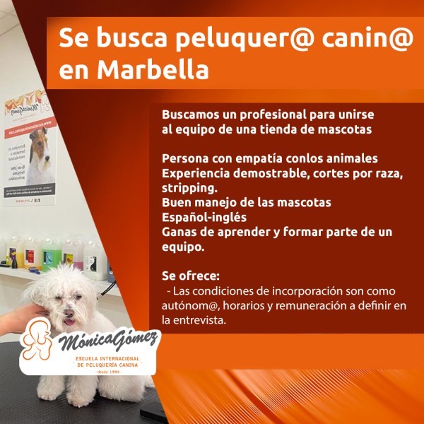 Se busca Peluquer@ Canin@ en Marbella (Málaga)