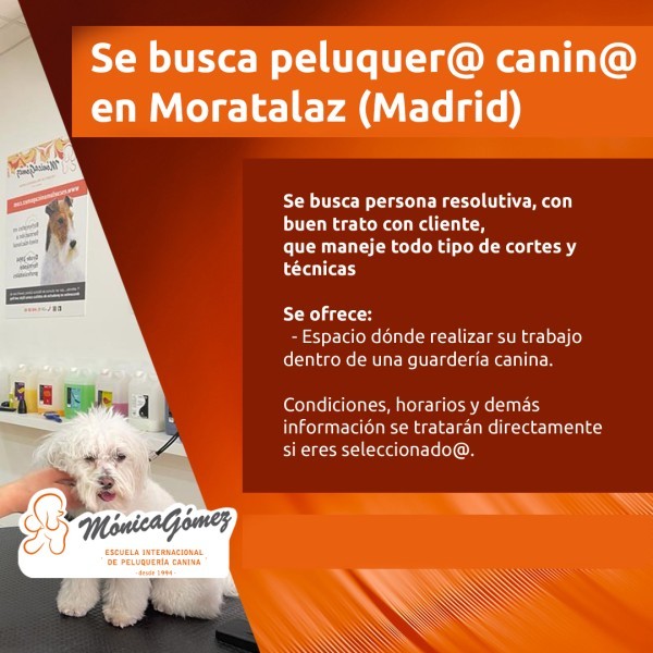 Oportunidad Peluquer@s Canin@s en Moratalaz