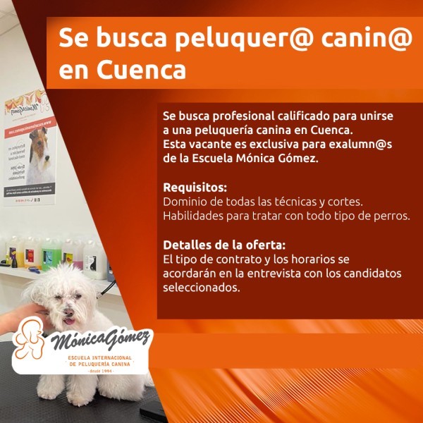 Se busca Peluquer@ Canin@ en Cuenca
