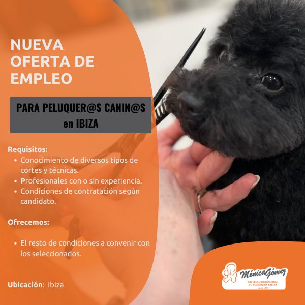 Se busca persona formada en peluqueria canina en Ibiza
