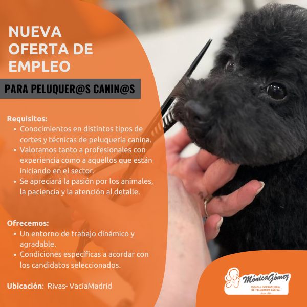 Se busca profesional del grooming canino en Madrid