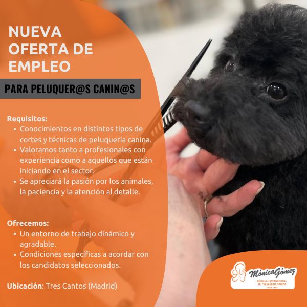 Se busca experto en grooming canino para trabajo en Madrid