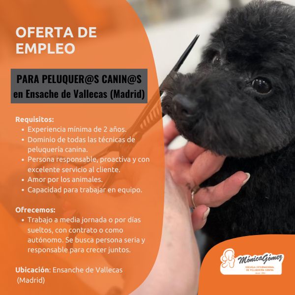 Se busca profesional de peluqueria canina en Puente de  Vallecas
