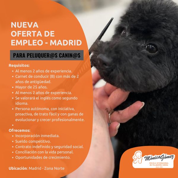 Se busca profesional de peluqueria canina en zona Norte de Madrid