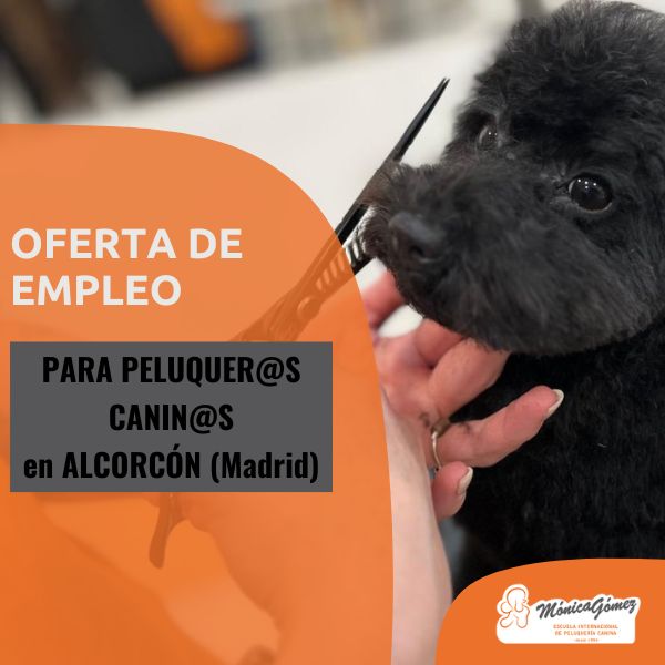 Oferta de empleo para peluquero canino con experiencia en Alcorcón