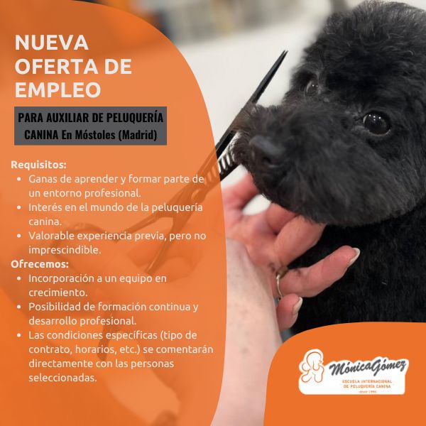 Se Busca auxiliar en peluqueria canina en Móstoles