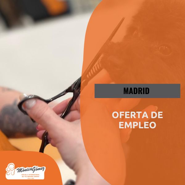 Oferta de empleo para Peluquero Canino en Madrid