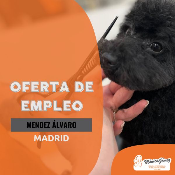 Oferta de empleo para profesional autónomo en Madrid