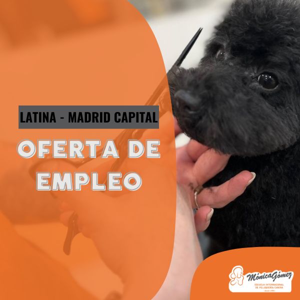 Se busca profesional de grooming canino en Latina