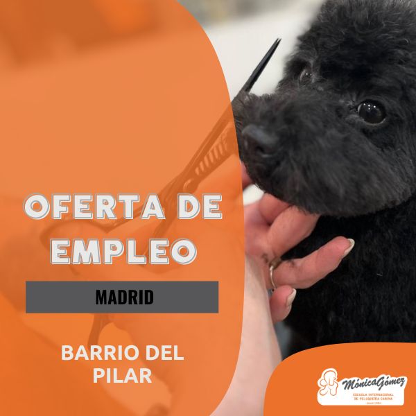 Se necesita Grooming canino en el Barrio del Pilar - Madrid