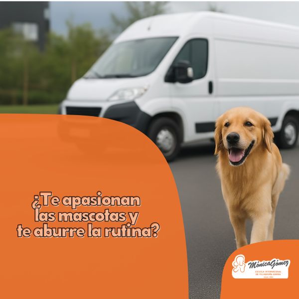 Se busca profesional de peluquería canina para un proyecto móvil.