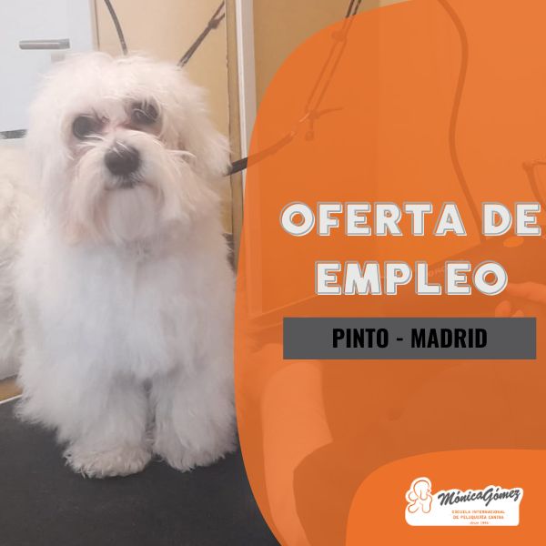 Se buscan profesionales autonom@s en Pinto