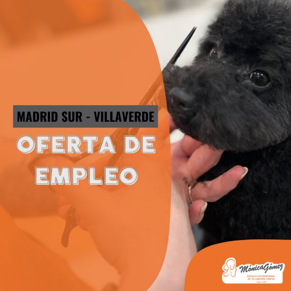 Oferta para grommers caninos formados en nuestra Escuela