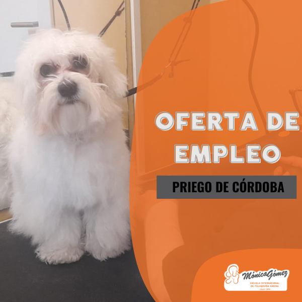 Se busca peluqueros caninos formados en nuestra escuela pars trabajar en Córdona