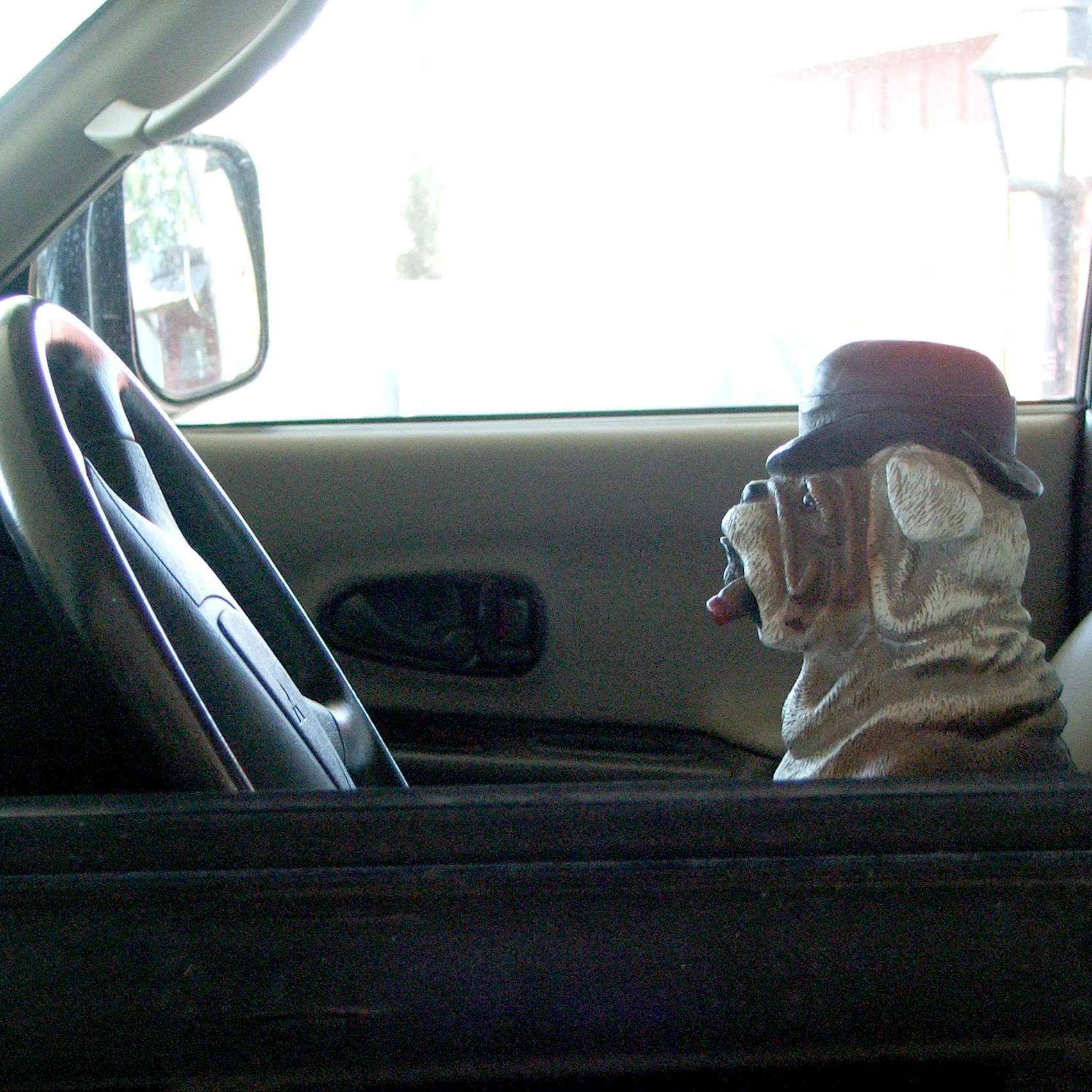 Cómo viajar con un perro en el coche