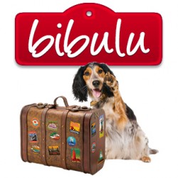Bibulu: Contacto entre dueños de perros y canguros caninos