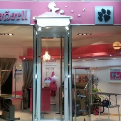 Nueva escuela de peluquería canina en Zaragoza
