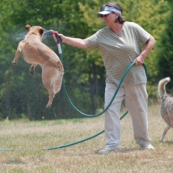 Cómo actuar contra los golpes de calor