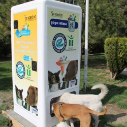 Dispensador de comida para perros callejeros