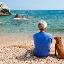 Petfriendly: playas caninas