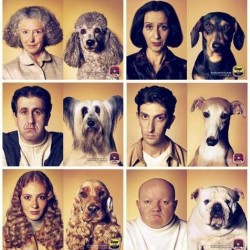 ¿Se parecen los perros a sus dueños?