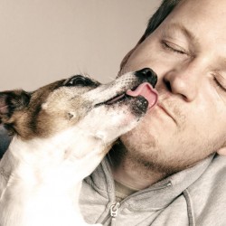 ¿Qué hace felices a los perros?