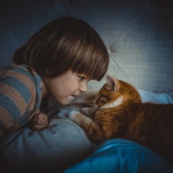 Cómo preparar a tu mascota para la llegada de un bebé